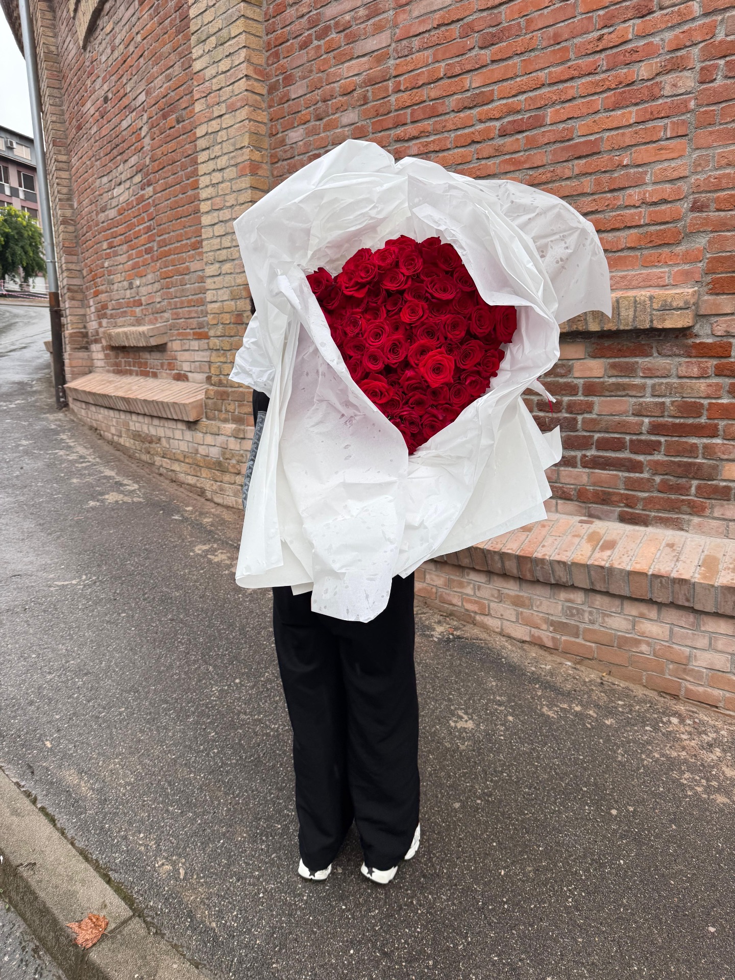 Bouquet od 101 ruže