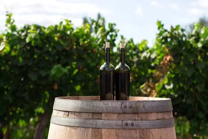 Privatna tura do Stona i Pelješca s vinskom degustacijom i ručkom - AUTO