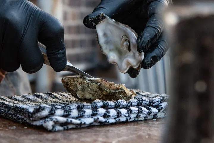 Privatna cjelodnevna gastro tura do Stona