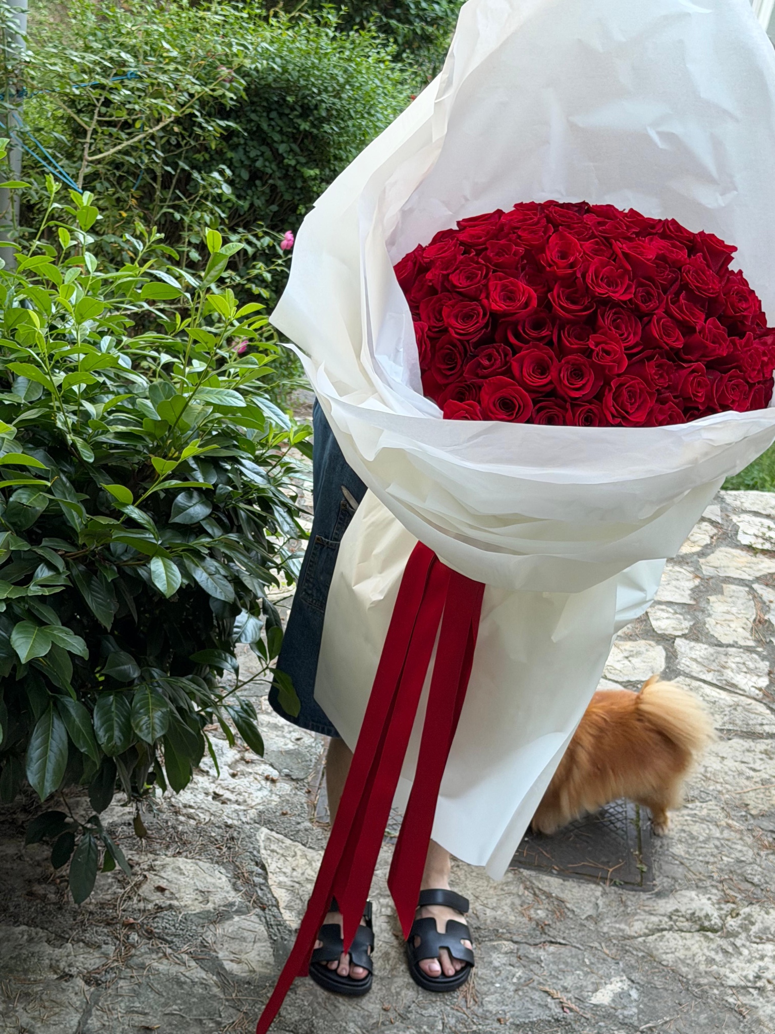 Bouquet od 101 ruže